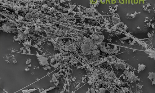 Amiante de chrysotile dans diatomite, image MEB | © CRB Analyse Service GmbH